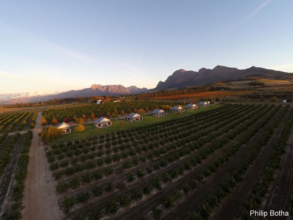 Paddabult Self Catering Cottages Paarl Eksteriør billede