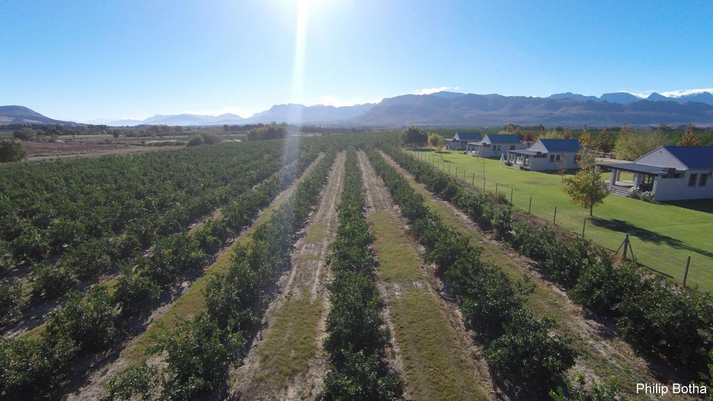 Paddabult Self Catering Cottages Paarl Eksteriør billede