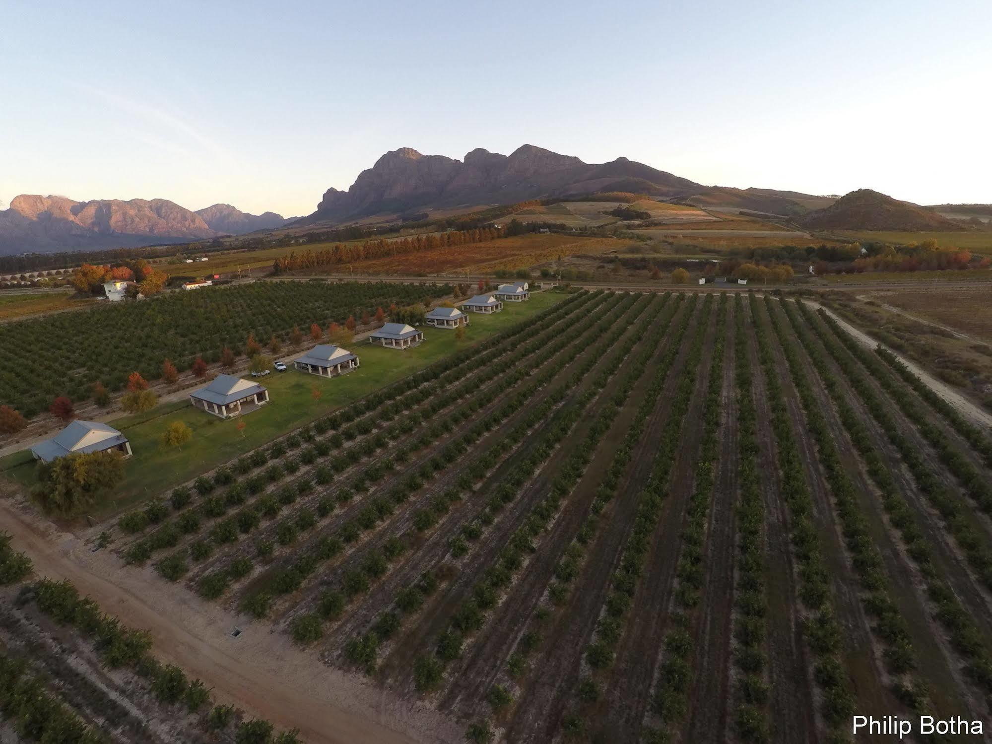 Paddabult Self Catering Cottages Paarl Eksteriør billede